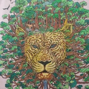 Meet your Posher, Tiana